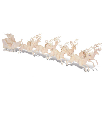 Santa Claus Sleigh