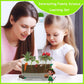 WKLOUYHE Root Viewer Kit – STEM Toy for Kids 6-10, Green Plastic Gardening Set, DIY Craft Growing Kit, Birthday & Easter Gift