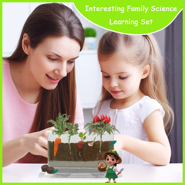 WKLOUYHE Root Viewer Kit – STEM Toy for Kids 6-10, Green Plastic Gardening Set, DIY Craft Growing Kit, Birthday & Easter Gift