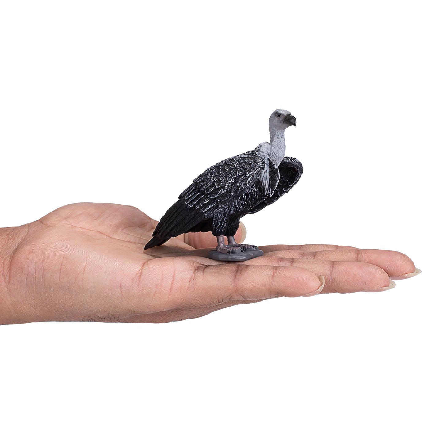 Mojo Griffon Vulture Realistic International Wildlife Hand Painted Toy Figurine