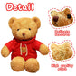 Galatee Cute Teddy Bear Plush Stuffed Animal, Teddy Bear With Coffee Hoodie, Gifts For Children(19.6' Red)
