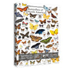 Colorful Butterfly Puzzle for mature-themed 1000 Piece  Animal Puzzles for mature-themeds 1000 Pieces and Up  Butterflies Jigsaw Puzzle Collage for mature-themed