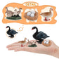 Life Cycle Of Swan Toys Black Geese Figurines Realistic Farm Animals Preschool Animals Figures Eduactional Project Diorama Model