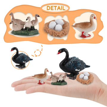 Life Cycle Of Swan Toys Black Geese Figurines Realistic Farm Animals Preschool Animals Figures Eduactional Project Diorama Model