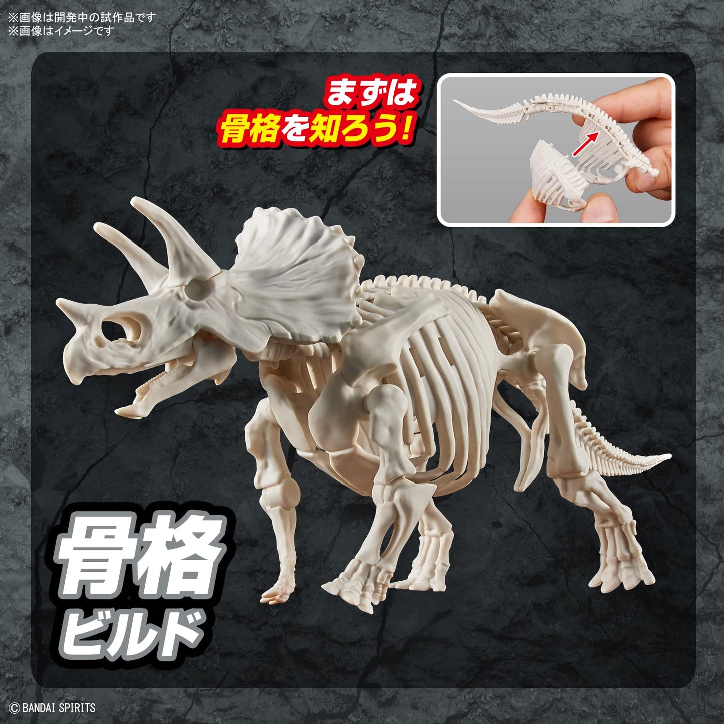 Bandai Hobby - Plannosaurus - #02 Triceratops, Bandai Spirits Dinosaur Model Kit