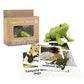 Mbrain5Pcs Frog Growth Cycle With Flash Cards,Life Cycle Learning & Education Toys,Montessori Toys,Gift For Girl & Boy For 3 4 5