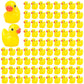 selizo 250PCS Mini Resin Ducks, Tiny Plastic Ducks Little Ducks to Hide, Small Resin Duck Charms Baby Ducks Bulk for Miniature D