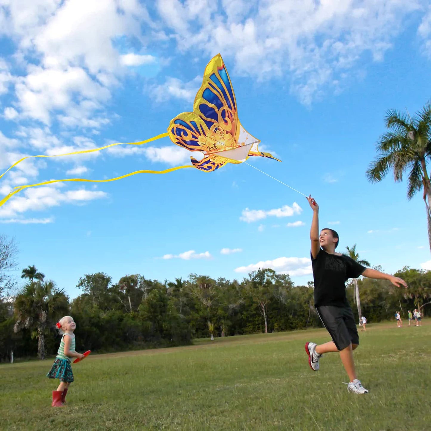 Mint'S Colorful Life Golden Mechanical Butterfly Kite For Kids & Adults Easy To Fly, Large Single Line Kites For The Beach With 300 Ft String Kite Handle