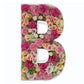 2Ft Letter B Mosaic Balloon Frame Letter Diy Fillable Letters Kit For Birthday Party Wedding Backdrop Decor