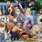 Vermont Christmas Company 1000 Piece Jigsaw Puzzle - Dogs on a Bench, Multicolor, Cardboard, Model VC149