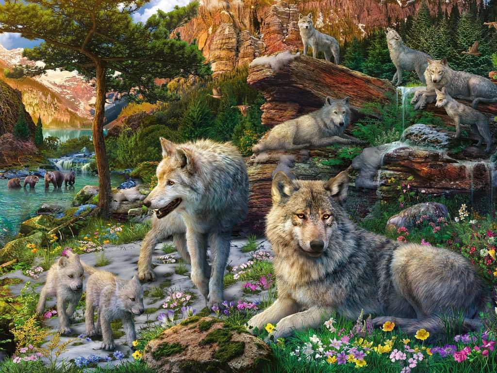 Wolves In Spring