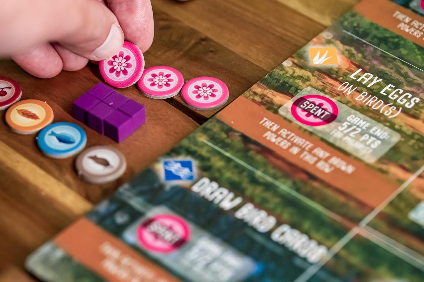 Stonemaier Games: Wingspan Oceania Expansion, Includes New Player Mats And A New Food Type, 40 To 70 Minute Play Time, 1 To 5 Pl