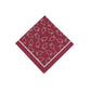 Fun Express Burgundy Graduation Bev Nap - Party Supplies - 50 Pieces