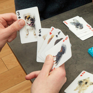 Kikkerland 3-D Waterproof Playing Cards, Durable Plastic, Standard Poker Size, Cards For Teens, Adults, Friends & Family
