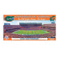 Florida Stadium Panoramic