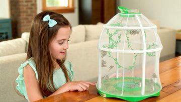 Uncle Milton Butterfly Farm Live Habitat - STEM Toy for Kids 6+ - Green - Observe Caterpillars Transform into Butterflies - Model 00057