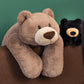ronivia Weighted Bear Plush Toy, 29.5" 6.2lbs Brown Stuffed Animal, Soft Plush Material, Model ronivia2558