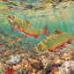 Cobble Hill 1000 Piece Puzzle - Brook Trout - Sample Poster Included