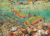 Cobble Hill 1000 Piece Puzzle - Brook Trout - Sample Poster Included