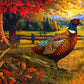 Springbok Golden Fields Pheasant 500 Piece Puzzle for mature-themeds - Colorful Pheasant in a Fall Outdoor Scene