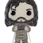 Funko Pop! Sized Pins: Harry Potter - Sirius Black