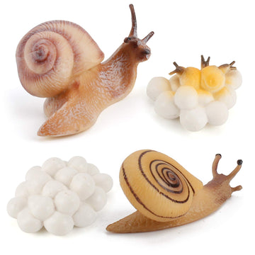 4 Pcs Gary Farm Animal Life Cycle Model Figure Snail Figurine Party Favors Supplies Cake Toppers Desktop Decoration Collection Educational Toys For Boys Girls Kid Toddlers