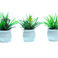 Birostiana Miniature Dollhouse Accessories 14 Pieces Miniatures Plants Flowers Bonsai Greenery Ornament For Dollhouse Fairy Gard