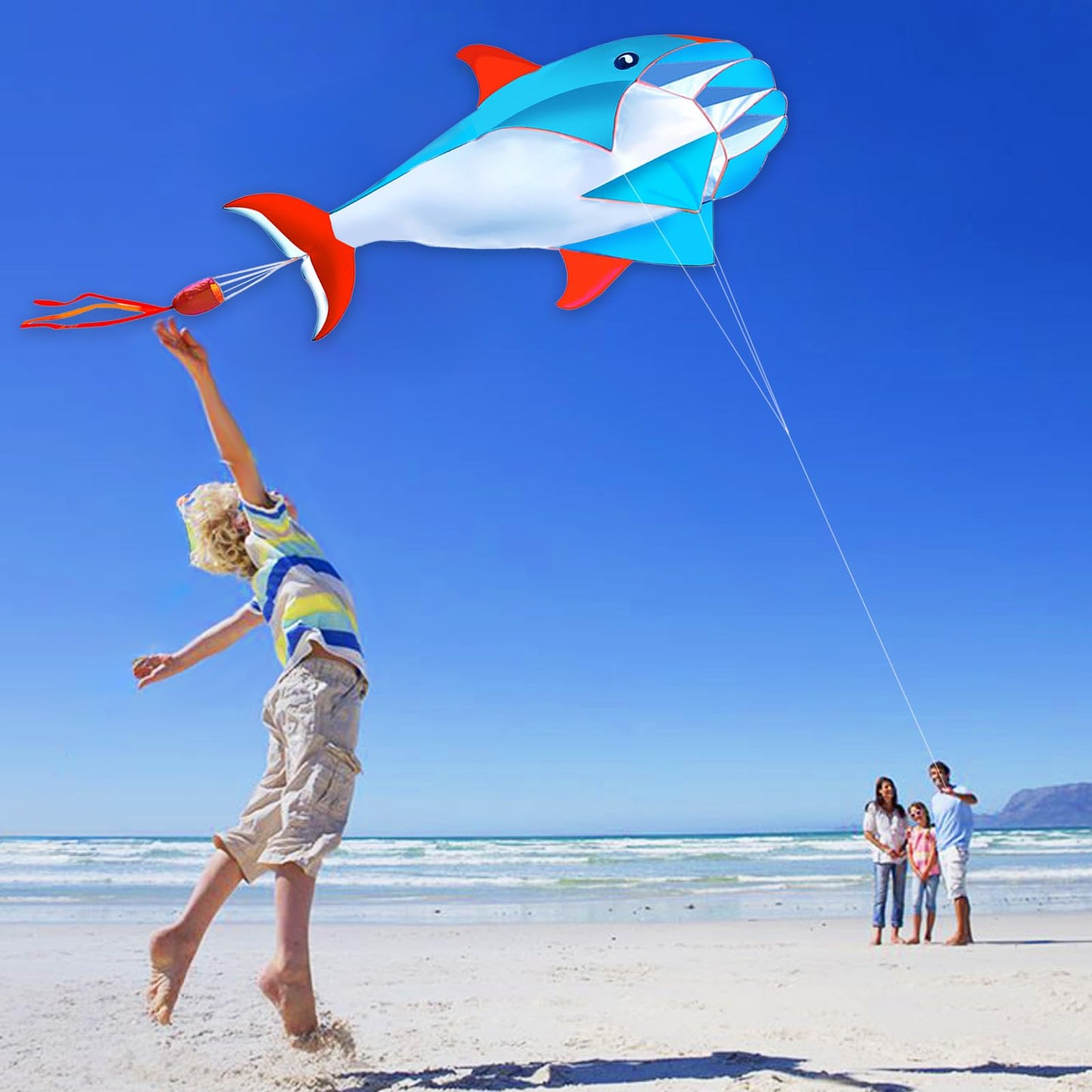 Hengda Kite 3D Dolphins Kite,For Kids And Adults,Easy To Fly,Excellent Fabric And Structure Design,The Pictures Are Beautiful In