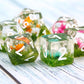 Resin Dnd Dice Set Handmade Flower D&D Die Filled With Flowers And Grass For D&D Dungeons And Dragon Tabletop Games