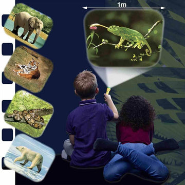 Brainstorm Toys Animal Flashlight and Projector, Multicoloured, 11 x 3.5 cm, Plastic, Model E2012