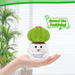Jelutar Positive Potato Cactus Crochet Gifts - Mini Funny Knitted Wool Doll With Emotional Card Cheer Up Gifts For Friends Birthday Party Decorations