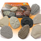 PLAY AND EXPLORE FOSSILS