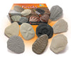 PLAY AND EXPLORE FOSSILS