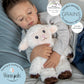 1i4 Group Warm Pals - Sheep - Cozy Microwavable Lavender Scented Plush Toys - Heated Stuffed Animal - Heatable Coolable Bedtime