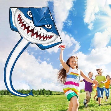Yongnkids 2 Pack Kite For Kids Adults Easy To Fly, Fish Kites Gift Idea For Beach Large Kites For Kids Ages 4-8, Perfect For Eas