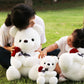 GailiMaiYa Teddy Bear Plush Stuffed Animal, 13.7 inches White Rose Bear Gift for Kids, Girlfriend, Valentine’s Day