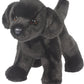Douglas Bear Black Lab Dog Plush Stuffed Animal