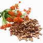 Cayway Mini Red Wall Bricks - 560 Pcs, Ideal for Landscaping, Dollhouse Miniature Gardens