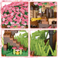 Christmas Gift Cherry Blossom Tree Building Block Kit 2008 Pcs Cherry Bonsai Tree Building Sets Diy Sakura Tree House Model Sets