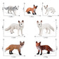 Rcomg 7Pcs Fox Toy Figures, Plastic Forest Animals Fox Figurines Set Include Arctic Fox & Red Foxes Toys, Cake Topper Party Favor Gift For Kids Children Toddlers