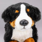 Carl Dick Bernese Mountain Dog, 16 Inches, 40Cm, Plush Toy, Soft Toy, Stuffed Animal 1542001