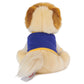 GUND Boo Plush Pomeranian Dog Varsity Jacket 9” Stuffed Animal, Polyester, Ages 1+