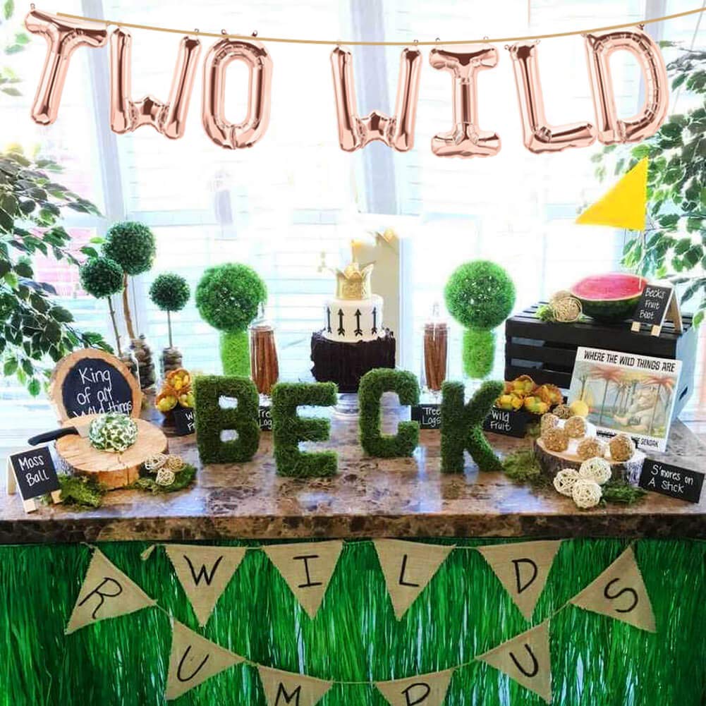 Safari Two Wild Birthday Party Decorations, Rose Gold Two Wild Balloons Banner For Boy Or Girl Jungle Safari 2Nd Birthday Party
