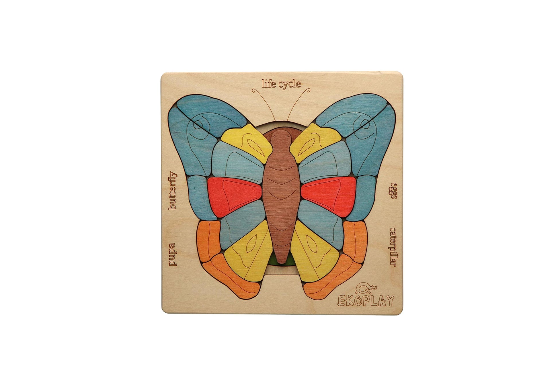 Life Cycle Of A Butterfly | 31 Piece Wooden Multilayered Jigsaw Puzzles For Kids | Educational Toy And Gift For Boys & Girls 3 Years And Above