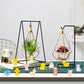 60 Pieces Luminous Mini Animals For Crafts Dollhouse Fairy Garden Decor Tiny Animals Decor For Car Tiny Resin Animals For Micro