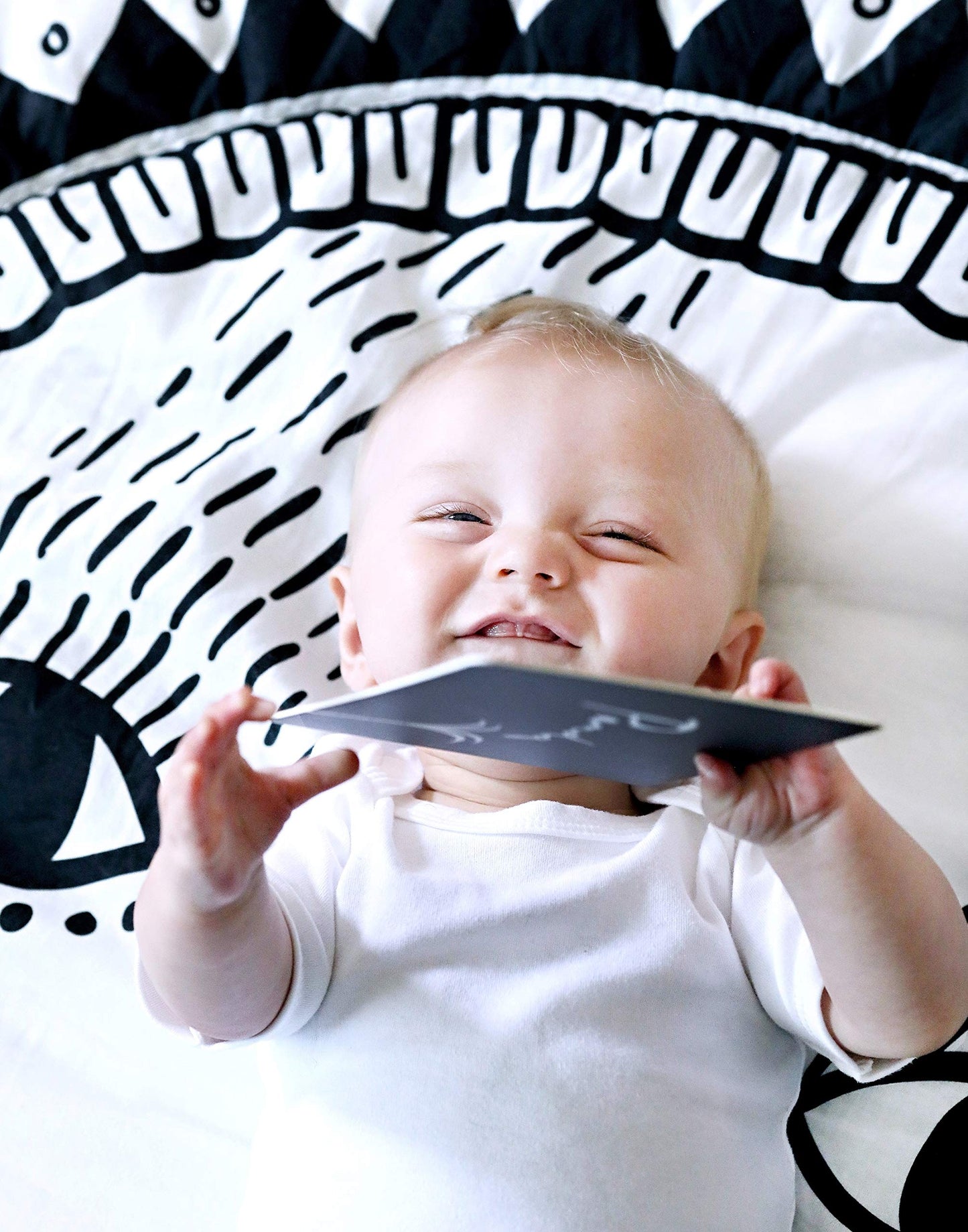 Wee Gallery Black And White Art Flash Cards For Babies, High Contrast Educational Animal Picture Cards, Baby Visual Stimulation, Brain And Memory Development In Infants And Toddlers - Baby Animals
