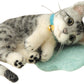 Hamanaka The! Sabatora Lets Make a Call Out in Wool Felt H441-365 (Japan Import)