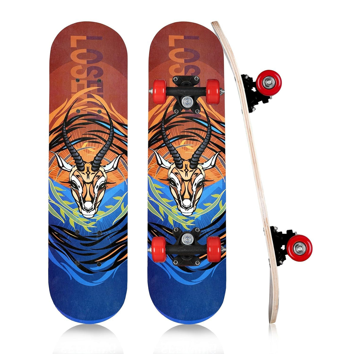 Ginoya Brothers Stylish Sticker,Graphics,4 weels,Large Complete skaetbord, Professional,skatebord for Beginner Kids,Girls,Boys,T