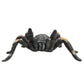 Mojo Red Kneed Tarantula Realistic International Wildlife Hand Painted Toy Figurine