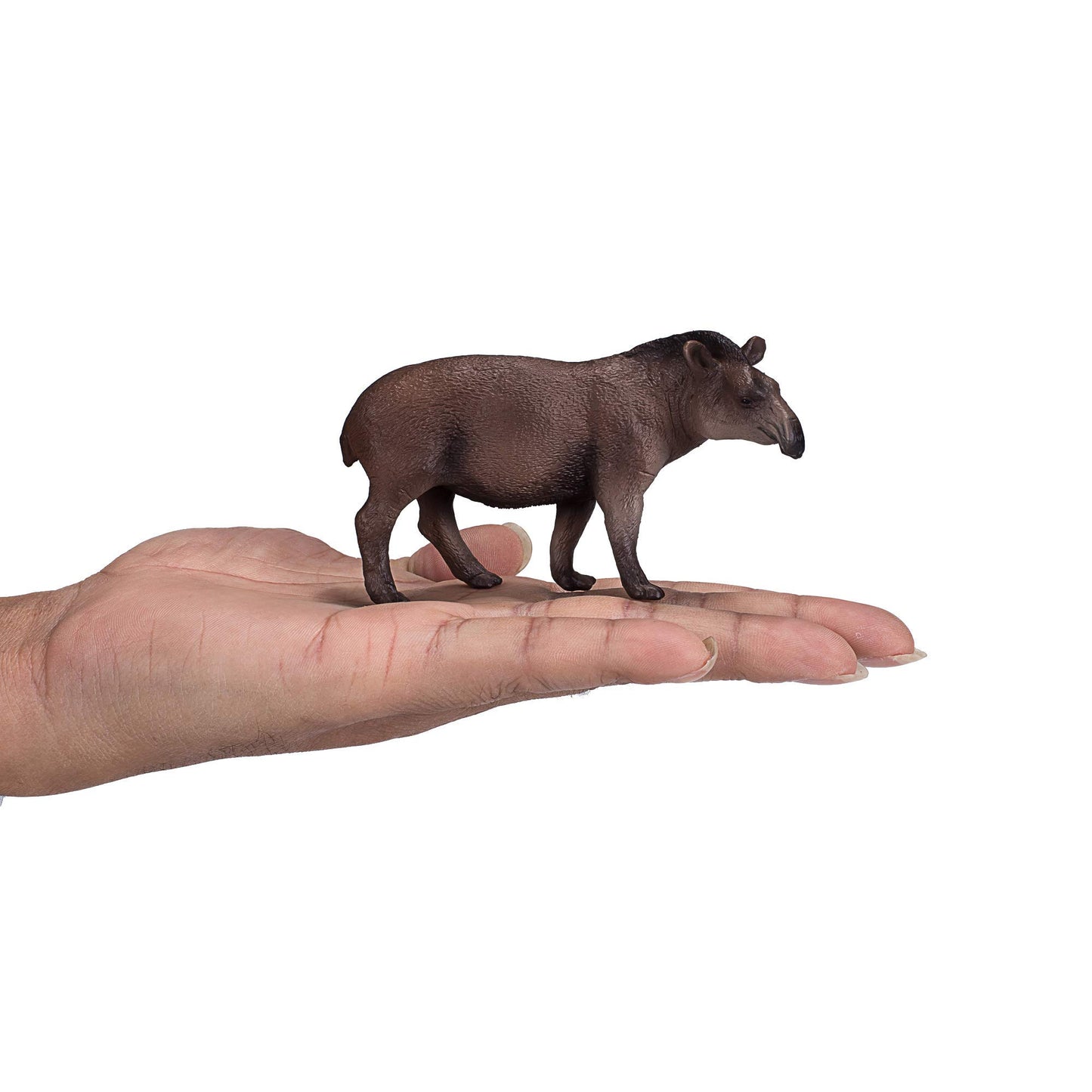 Mojo Brazilian Tapir Realistic International Wildlife Hand Painted Toy Figurine, Brown